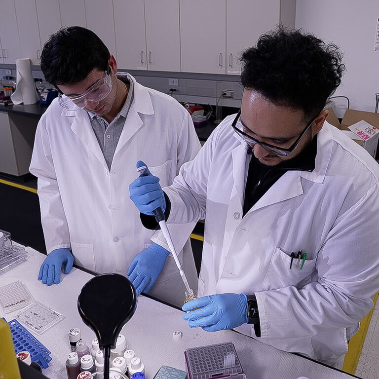 Two people in lab coats and blue gloves working with pipette and test samples in a laboratory