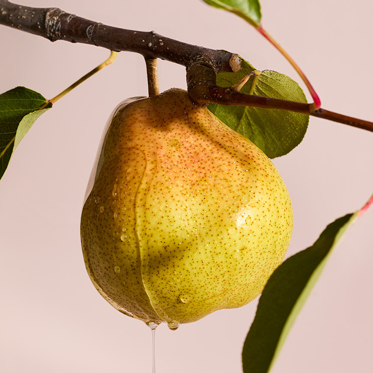 Close-up of a fresh pear hanging from a branch with green leaves and water droplets, a fruity ingredient featured in Mary Kay Confidently You perfume.