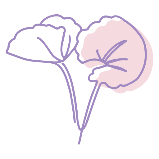 Illustration of Gotu Kola plant